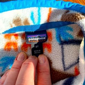 Patagonia synchilla multi colored kids pullover